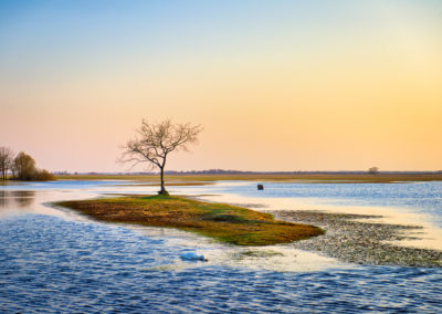 _DSC5577_edit