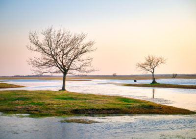 _DSC5578_edit