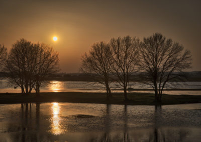 _DSC5586_edit