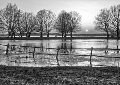 _DSC5655_edit_1