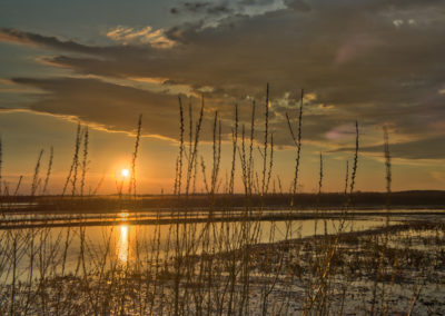 _DSC6006_edit