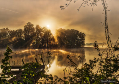 _DSC6655_edit