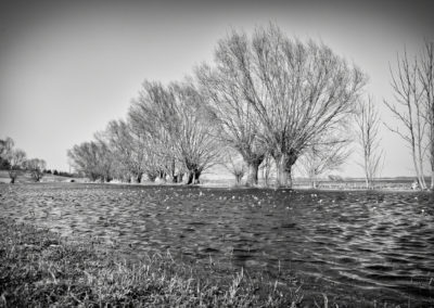 biebrza05