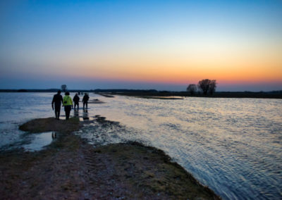 biebrza18