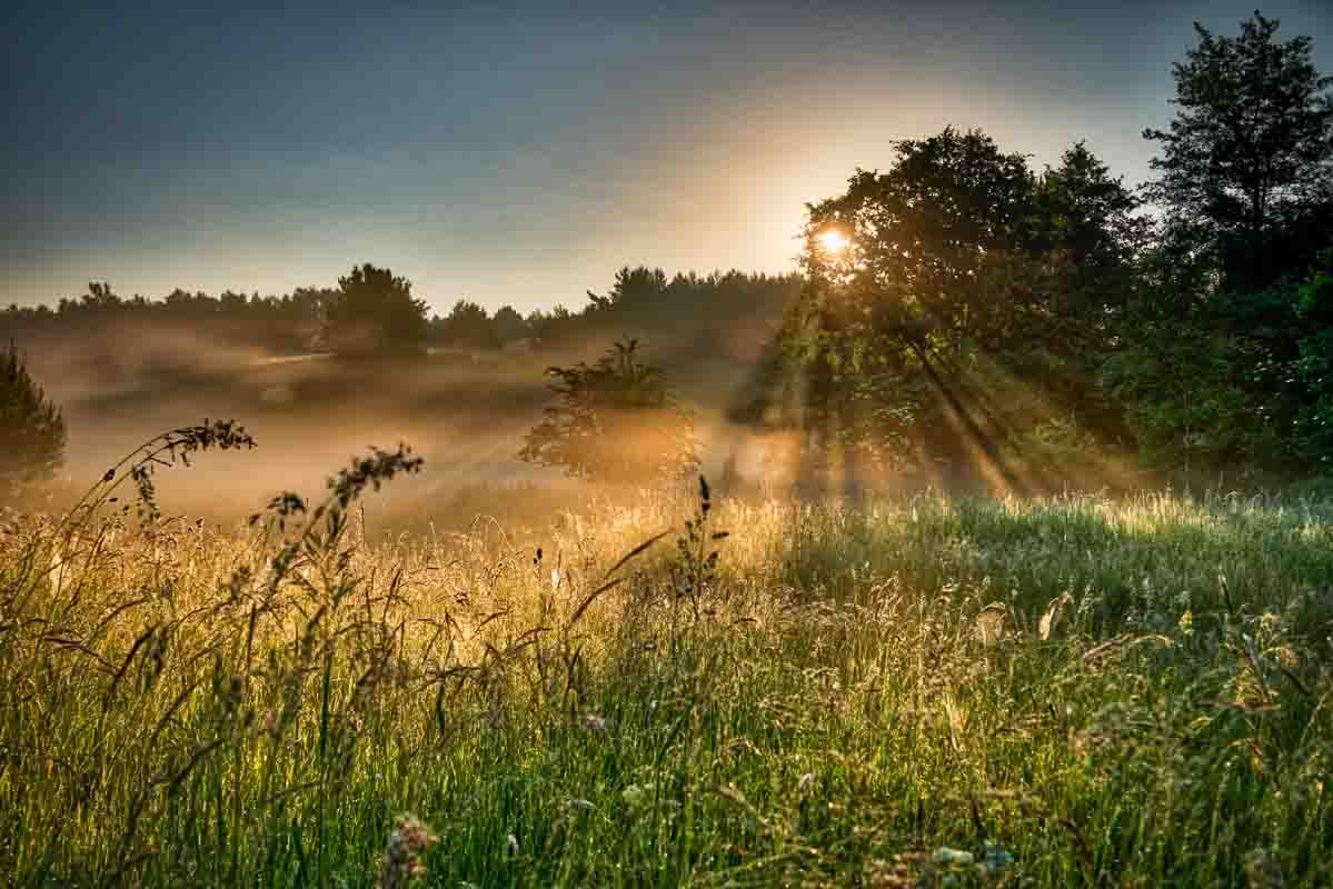 fotografia pojazdów olsztyn