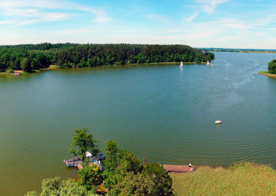 wierzba_pano